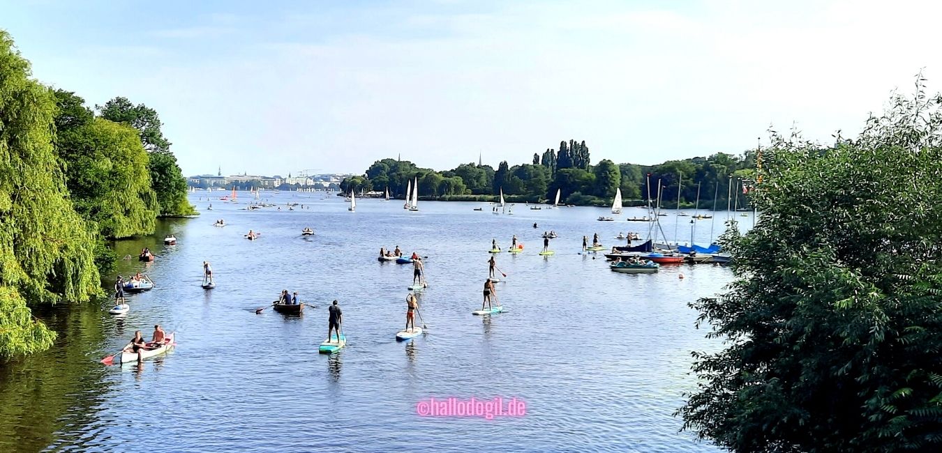 Kanufahren auf der Alster