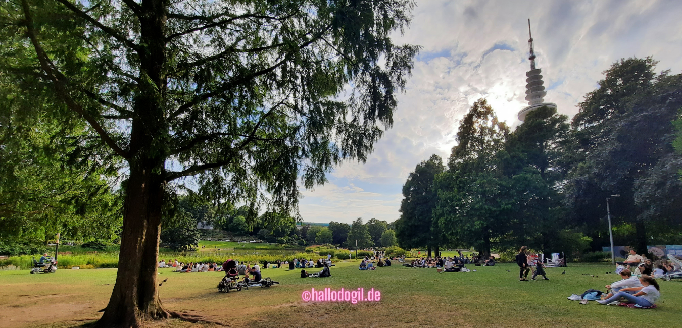 Schönes Hamburg – der Park Planten un Blomen