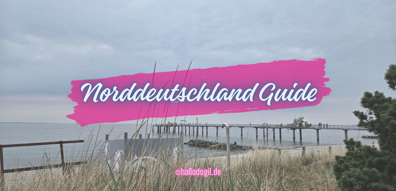 Banner des Norddeutschland Guides von hallodogil. Blick auf einen schönen Sanstrand mit Schilf und einer entfernten Seebrücke im rechten Hintergrund