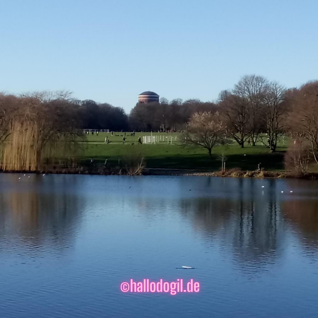 Das Bild zeigt den Hamburger Stadtpark mit See, Grünfläche und Planetarium bei schönem Wetter.