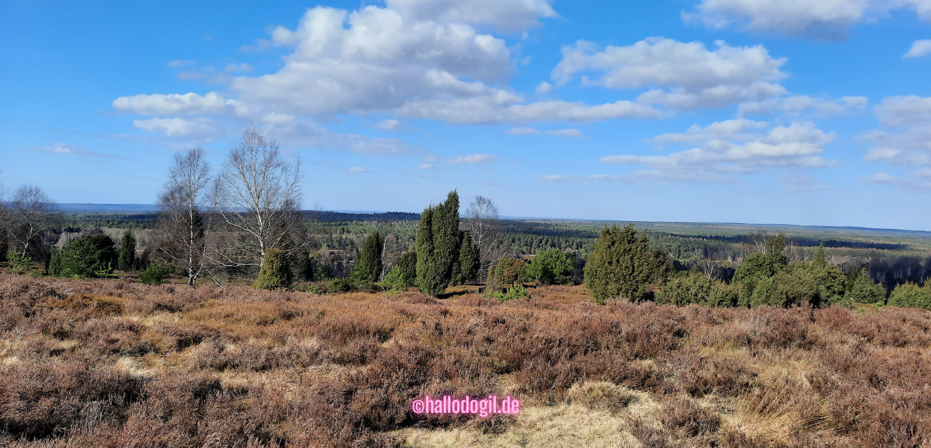 Lüneburger Heide – Natur, Heideblüte & Highlights