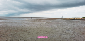 Was man an der Nordsee alles machen kann