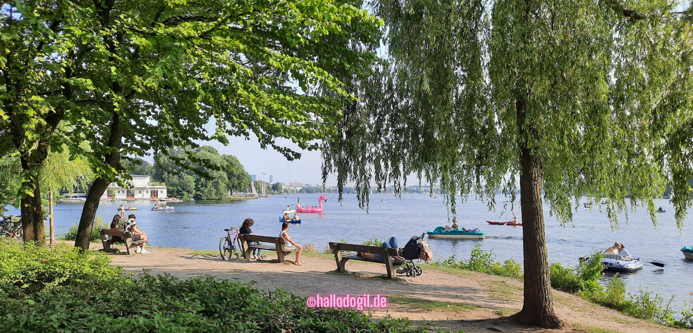 Sommer in Hamburg – Aktivitäten einfach erklärt