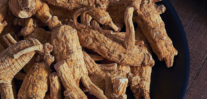 Koreanischer Ginseng in der Lüneburger Heide – Europas einzige Ginsengfarm (FloraFarm Walsrode)