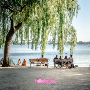 Im Sommer an der Alster sitzen