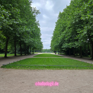 Im Sommer im Stadtpark spazieren gehen