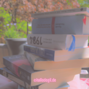 Übersicht über den Bücher-Content von hallodogil