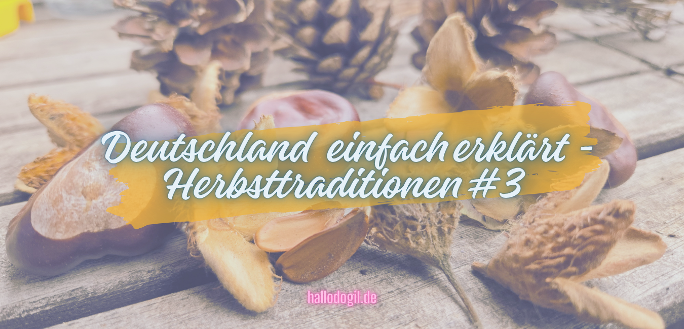 Kastanien, Eicheln & Bucheckern sammeln einfach erklärt