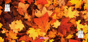 Herbst in Hamburg – Aktivitäten