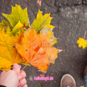 Hamburg im Herbst sind super für Spaziergänge