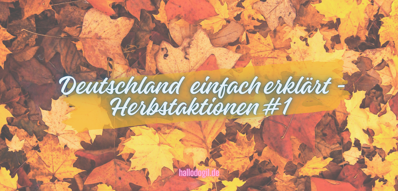 Deutsche Herbsttraditionen einfach erklärt (A2)