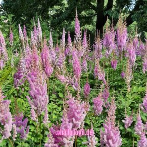 Schöne Farbe :)