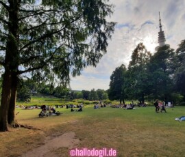 Große Wiese im Planten un Blomen mit Blick auf den Fernsehturm