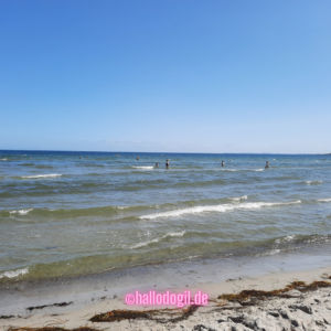 Lasst uns schwimmen :)