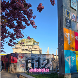 Bild des Bunkers in St-Pauli mit Kirchblüte im Vordergrund.