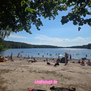 Der Badesee Großensee in der Nähe vom Abenteuergolf Lütjensee ist gut besucht im Sommer 2026